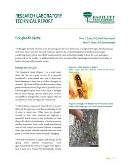 Douglas-Fir Beetle Drew C