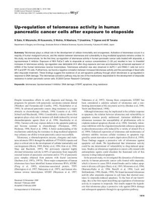 Up-Regulation of Telomerase Activity in Human Pancreatic Cancer Cells After Exposure to Etoposide