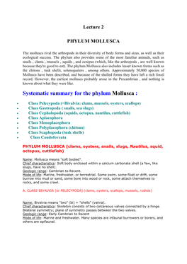 Lecture 2 PHYLUM MOLLUSCA