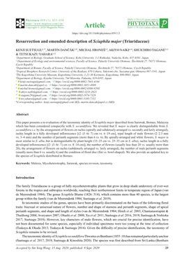 Resurrection and Emended Description of Sciaphila Major (Triuridaceae)