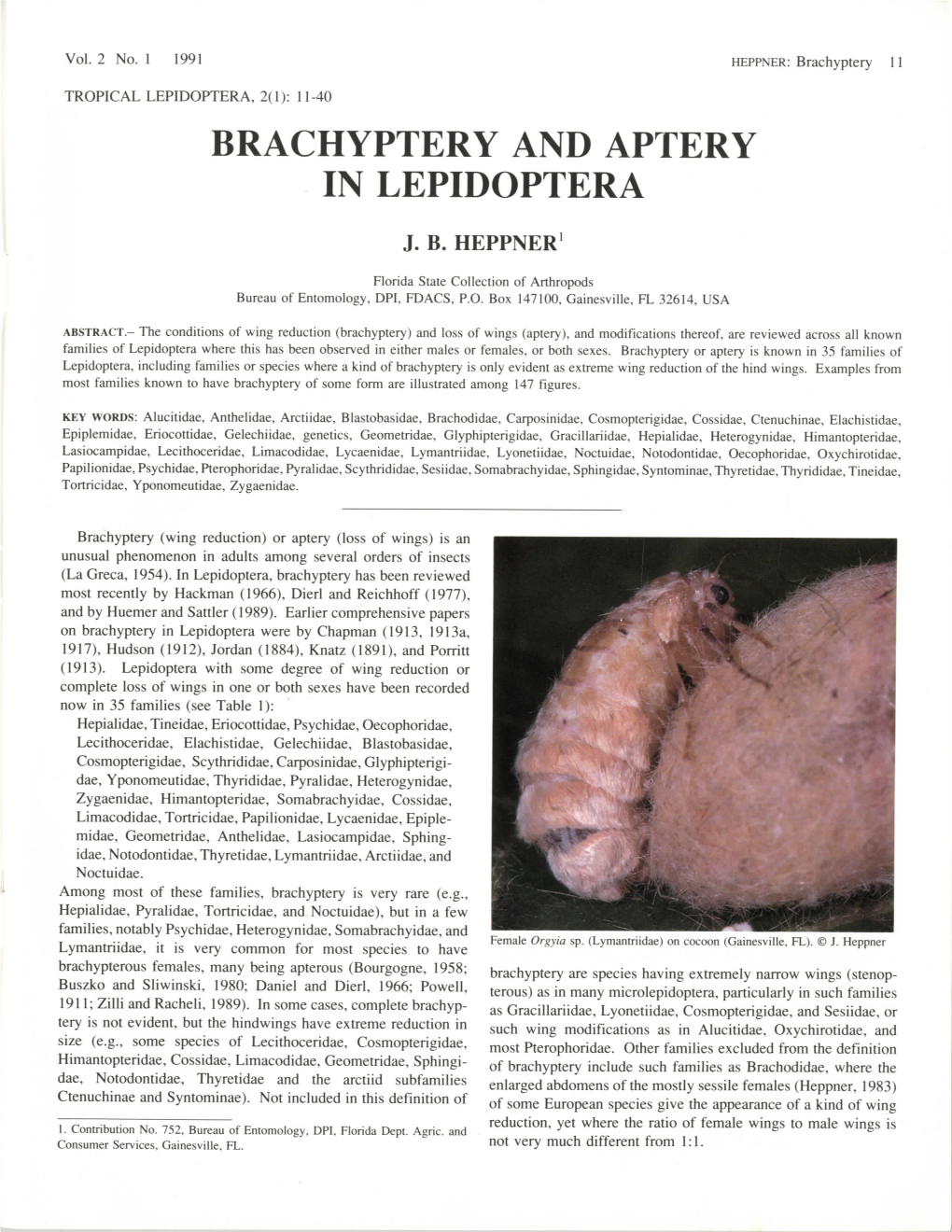 Brachyptery and Aptery in Lepidoptera