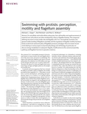 Swimming with Protists: Perception, Motility and Flagellum Assembly