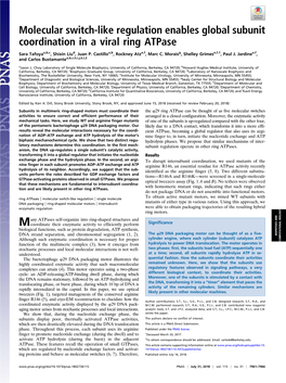 Molecular Switch-Like Regulation Enables Global Subunit Coordination in a Viral Ring Atpase