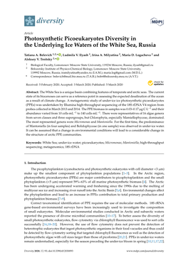 Photosynthetic Picoeukaryotes Diversity in the Underlying Ice Waters of the White Sea, Russia