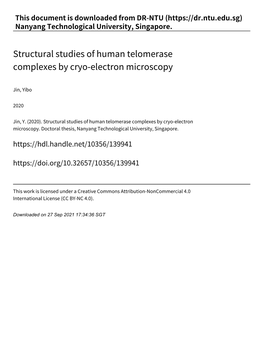 Structural Studies of Human Telomerase Complexes by Cryo‑Electron Microscopy