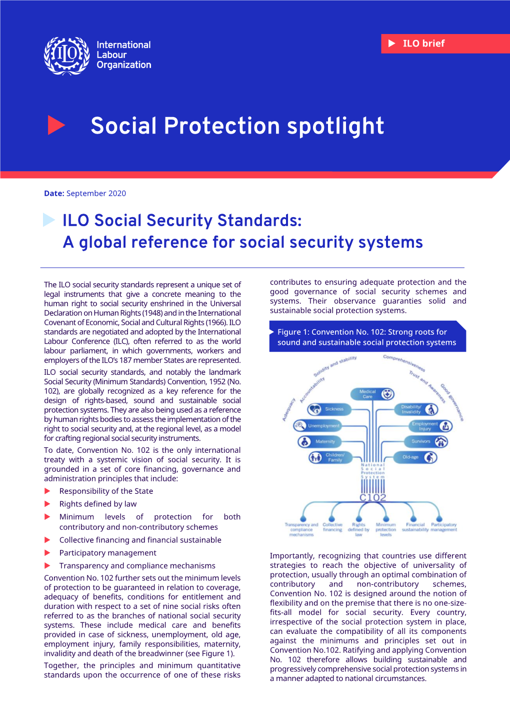 Social Protection Spotlight