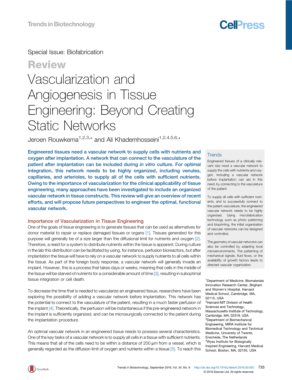 Vascularization and Angiogenesis in Tissue Engineering: Beyond Creating Static Networks