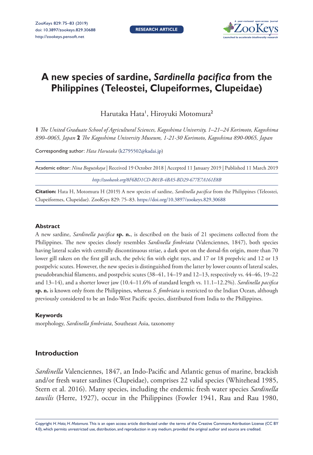 A New Species of Sardine, Sardinella Pacifica from the Philippines