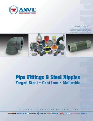 Pipe Fittings & Steel Nipples