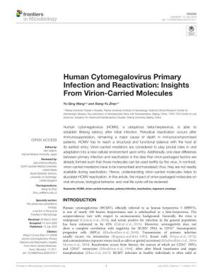 Human Cytomegalovirus Primary Infection and Reactivation: Insights from Virion-Carried Molecules