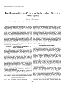 Peptide Recognition Motifs Involved in the Binding of Integrins to Their Ligands