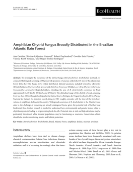 Amphibian Chytrid Fungus Broadly Distributed in the Brazilian Atlantic Rain Forest