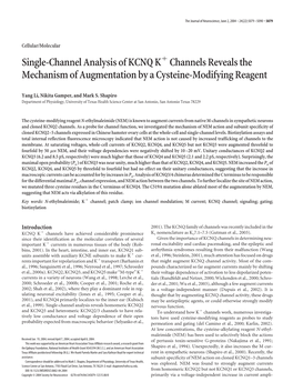 Single-Channel Analysis of KCNQ K Channels Reveals the Mechanism of Augmentation by a Cysteine-Modifying Reagent