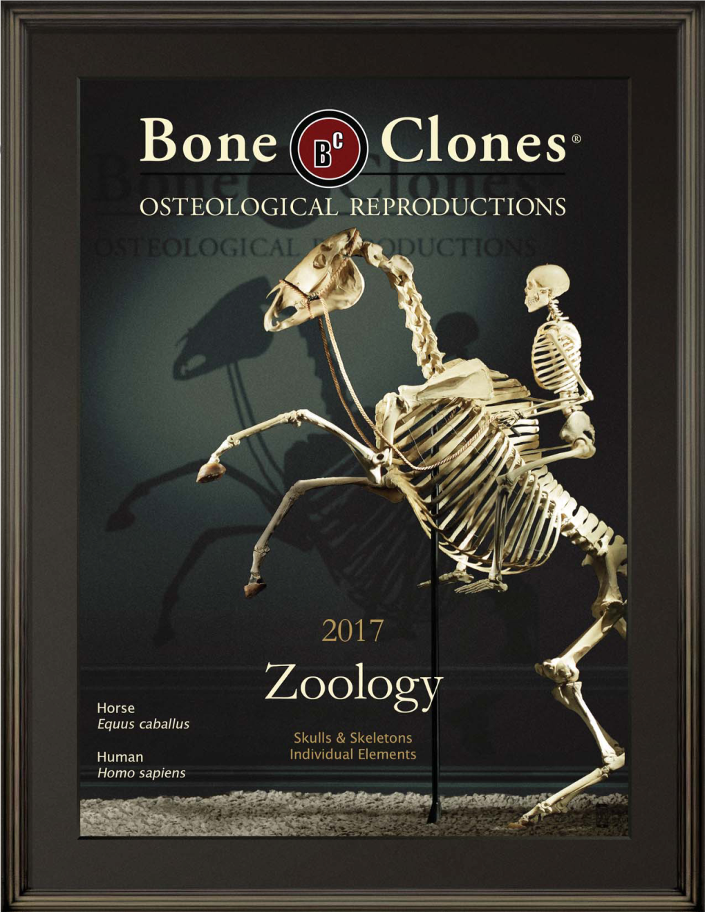 BONE-CLONES-Katalog-Zoology
