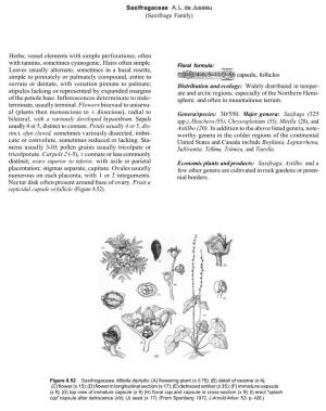 Saxifragaceae A. L. De Jussieu (Saxifrage Family) Herbs; Vessel