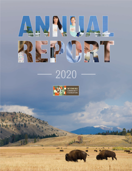 WYCF 2020 Annual Report