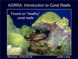 Introduction to Coral Reefs