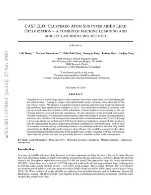 CASTELO: Clustered Atom Subtypes Aided Lead Optimization – a Combined Machine Learning and Molecular Modeling Method