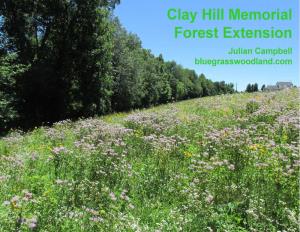 Clay Hill Extension.Pdf