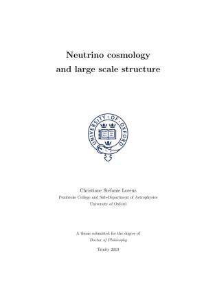 Neutrino Cosmology and Large Scale Structure