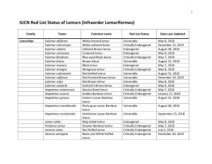 IUCN Red List Status of Lemurs (Infraorder Lemuriformes)