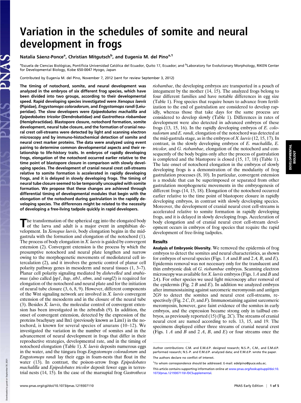 Variation in the Schedules of Somite and Neural Development in Frogs