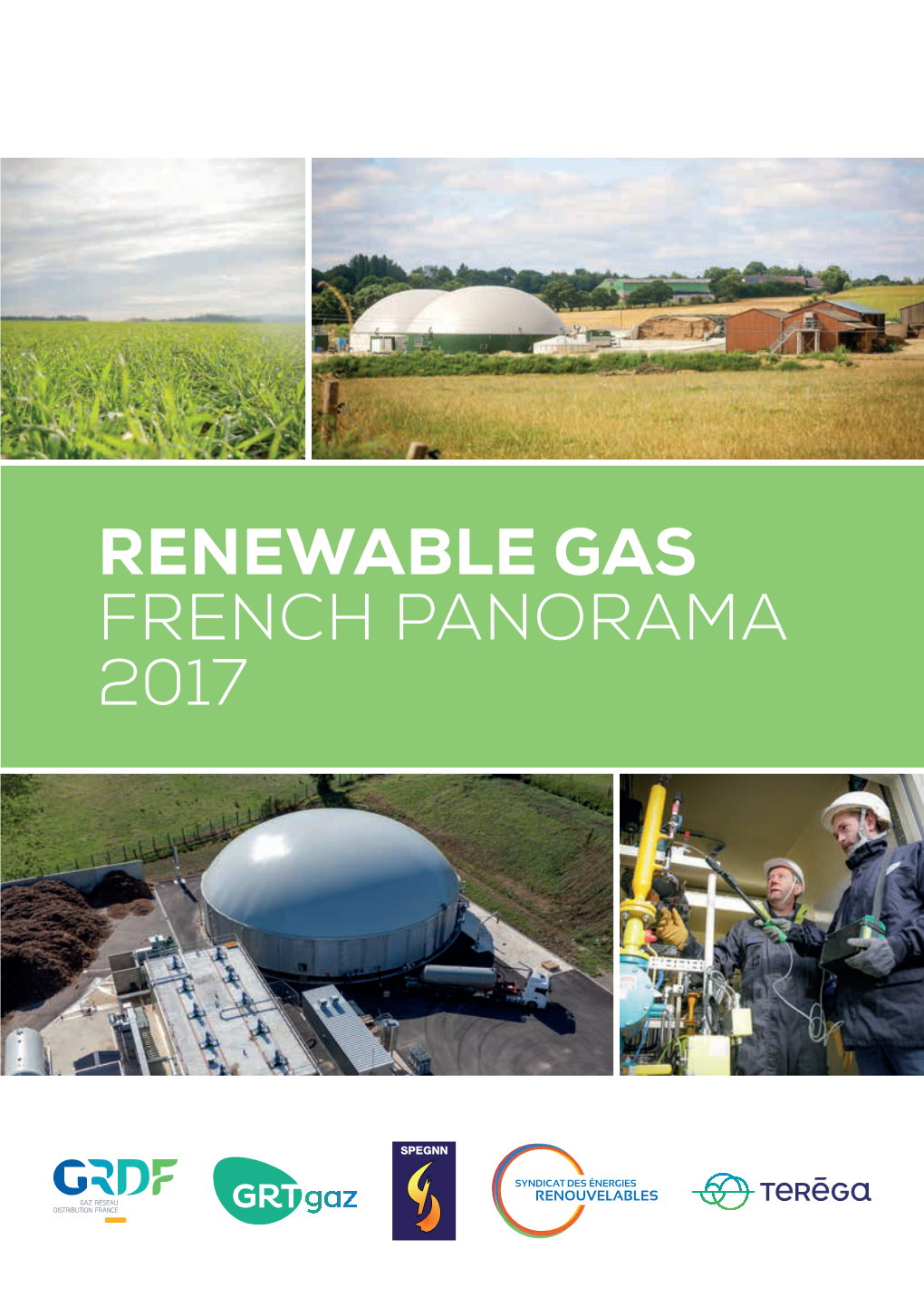 Renewable Gas French Panorama 2017