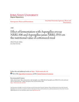 Effect of Fermentation with Aspergillus Oryzae NRRL506 and Aspergillus