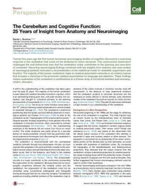 The Cerebellum and Cognitive Function: 25 Years of Insight from Anatomy and Neuroimaging