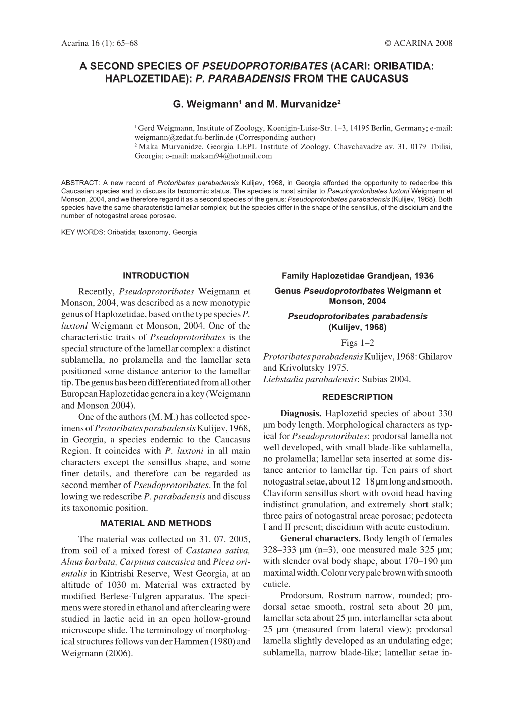 A Second Species of Pseudoprotoribates (Acari: Oribatida: Haplozetidae): P