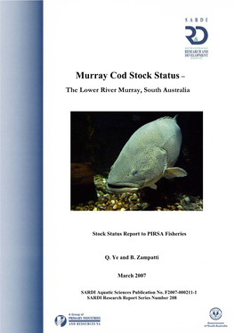Murray Cod Stock Status – the Lower River Murray, South Australia