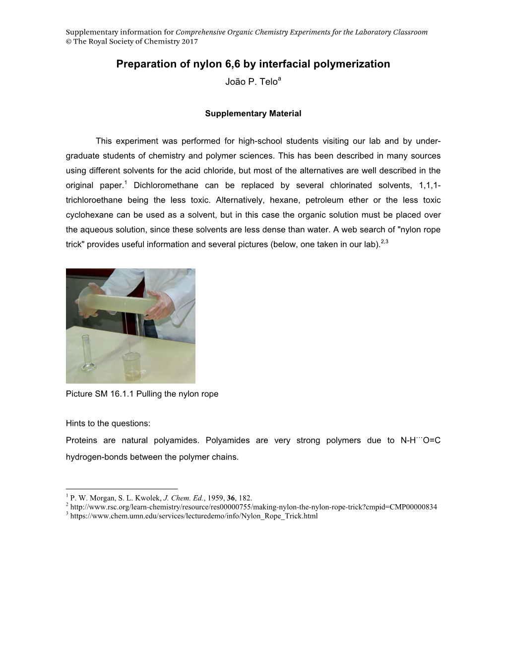 Preparation of Nylon 6,6 by Interfacial Polymerization João P