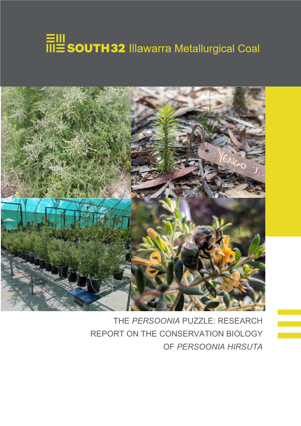 Persoonia Hirsuta Research Report, South32 2