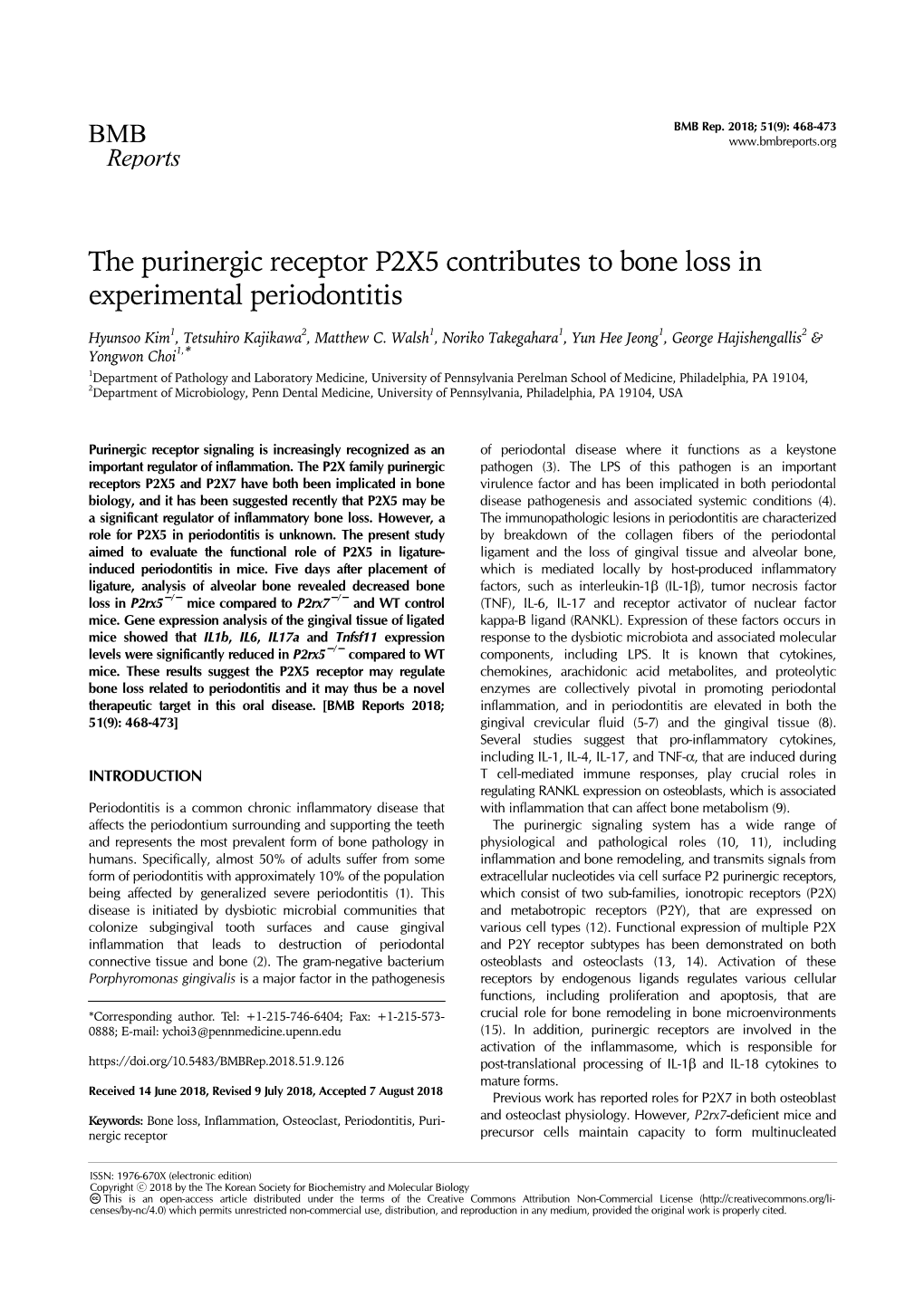 The Purinergic Receptor P2X5 Contributes to Bone Loss in Experimental Periodontitis