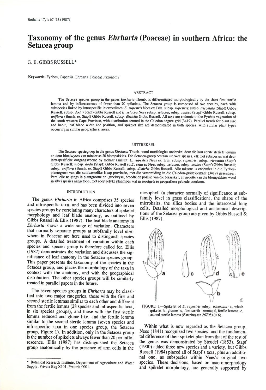 Taxonomy of the Genus Ehrharta (Poaceae) in Southern Africa: the Setacea Group