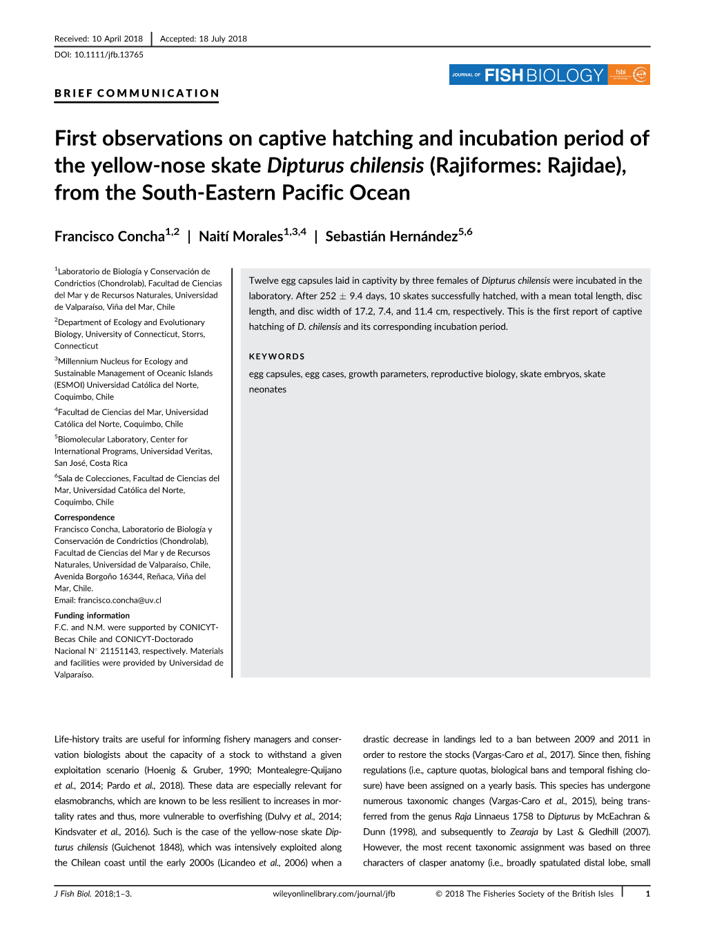 First Observations on Captive Hatching and Incubation Period of the Yellow-Nose Skate Dipturus Chilensis (Rajiformes: Rajidae), from the South-Eastern Pacific Ocean