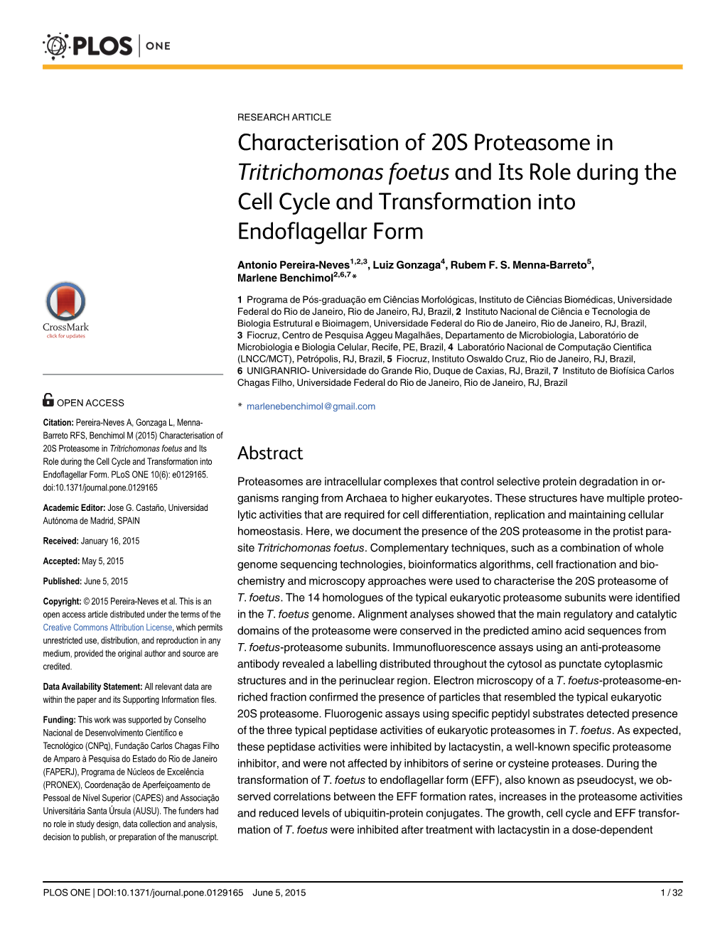 Characterisation of 20S Proteasome in Tritrichomonas Foetus and Its Role During the Cell Cycle and Transformation Into Endoflagellar Form