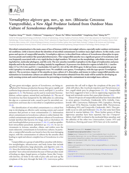 Vernalophrys Algivore Gen. Nov., Sp. Nov. (Rhizaria: Cercozoa: Vampyrellida), a New Algal Predator Isolated from Outdoor Mass Culture of Scenedesmus Dimorphus