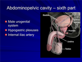 Abdominal Cavity Part Sixth