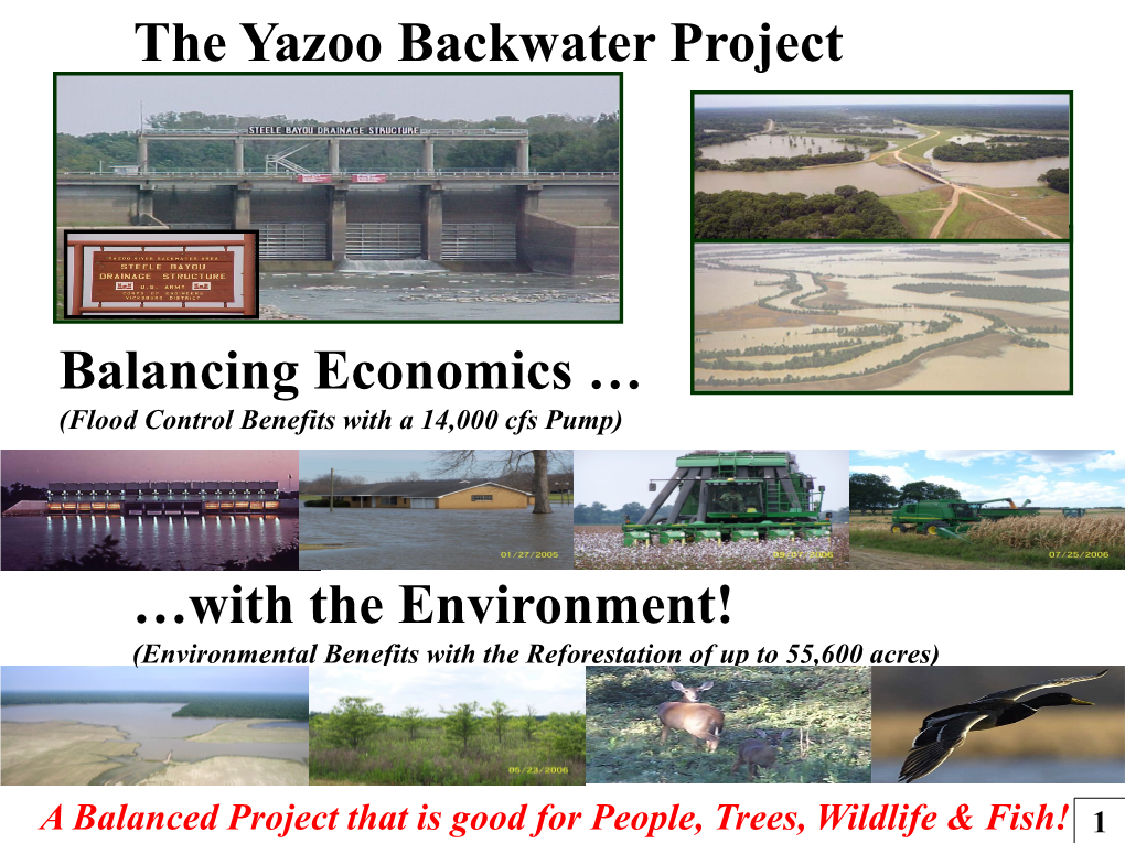 The Yazoo Backwater Project Balancing Economics … …With The