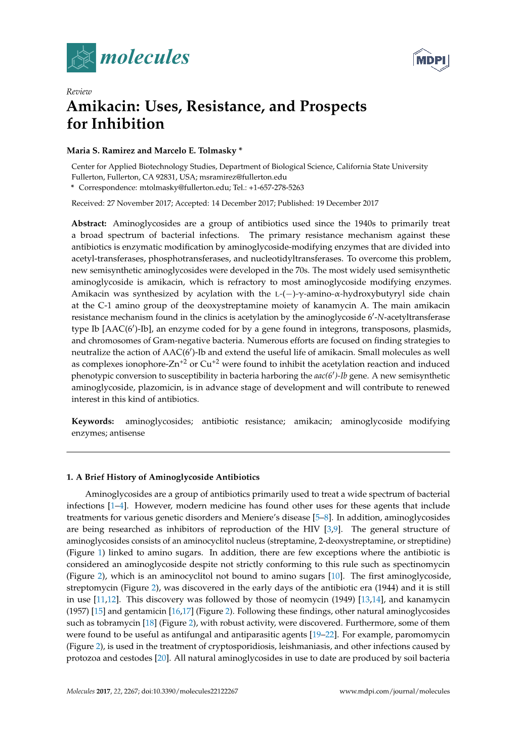 Amikacin: Uses, Resistance, and Prospects for Inhibition