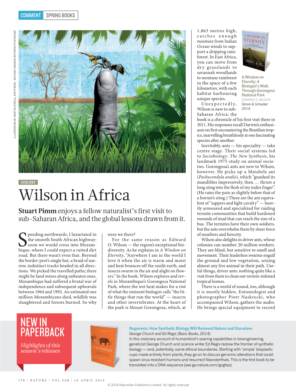 Wilson in Africa