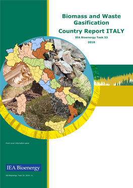 Biomass and Waste Gasification Country Report ITALY IEA Bioenergy Task 33