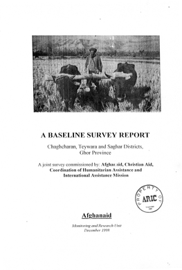 A Basei Jine Survey Re.Port