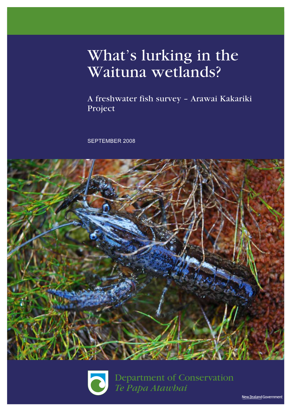 What's Lurking in the Waituna Wetlands?