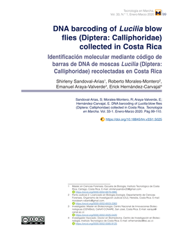 DNA Barcoding of Lucilia Blow Flies (Diptera: Calliphoridae) Collected In