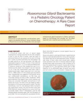 Roseomonas Gilardi Bacteraemia in a Pediatric Oncology Patient