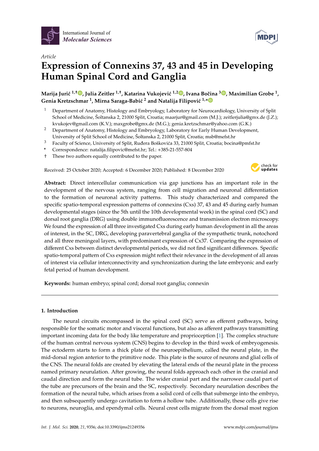 Expression of Connexins 37, 43 and 45 in Developing Human Spinal Cord and Ganglia