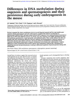 Differences in DNA Methylation Durin.G Oogenesis and Spermatogenesis and Their Persistence During Early Embryogenesis in the Mouse