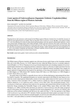 (Squamata: Gekkota: Carphodactylidae) from the Pilbara Region of Western Australia